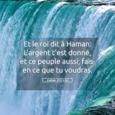 Picture 05 - Esther 3:11 LSG - Et le roi dit à Haman: L'argent t'est donné, et - Bible Verse Picture