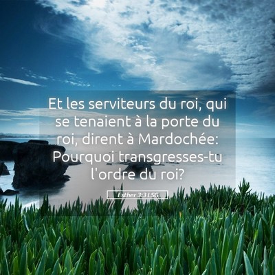 Picture 05 - Esther 3:3 LSG - Et les serviteurs du roi, qui se tenaient à la - Bible Verse Picture
