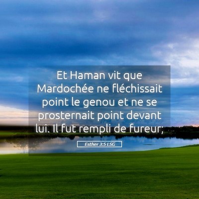 Picture 05 - Esther 3:5 LSG - Et Haman vit que Mardochée ne fléchissait point - Bible Verse Picture