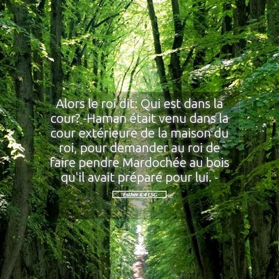 Picture 05 - Esther 6:4 LSG - Alors le roi dit: Qui est dans la cour? -Haman - Bible Verse Picture