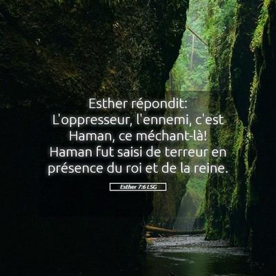 Picture 05 - Esther 7:6 LSG - Esther répondit: L'oppresseur, l'ennemi, c'est - Bible Verse Picture