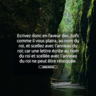 Picture 05 - Esther 8:8 LSG - Ecrivez donc en faveur des Juifs comme il vous - Bible Verse Picture