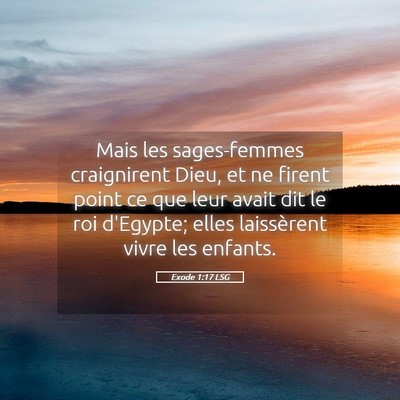 Picture 05 - Exode 1:17 LSG - Mais les sages-femmes craignirent Dieu, et ne - Bible Verse Picture