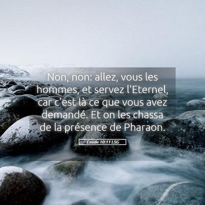 Picture 05 - Exode 10:11 LSG - Non, non: allez, vous les hommes, et servez - Bible Verse Picture