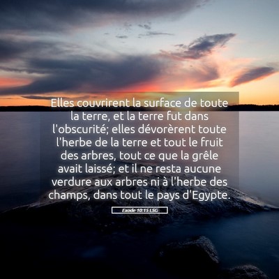 Picture 05 - Exode 10:15 LSG - Elles couvrirent la surface de toute la terre, et - Bible Verse Picture