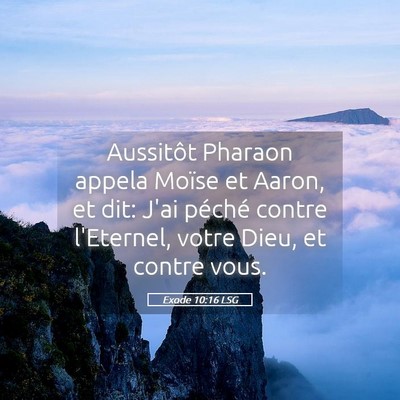Picture 05 - Exode 10:16 LSG - Aussitôt Pharaon appela Moïse et Aaron, et dit: - Bible Verse Picture
