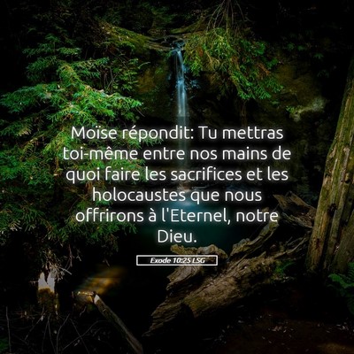 Picture 05 - Exode 10:25 LSG - Moïse répondit: Tu mettras toi-même entre nos - Bible Verse Picture