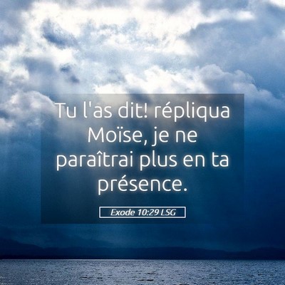 Picture 05 - Exode 10:29 LSG - Tu l'as dit! répliqua Moïse, je ne paraîtrai - Bible Verse Picture