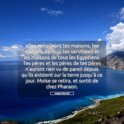 Picture 05 - Exode 10:6 LSG - elles rempliront tes maisons, les maisons de tous - Bible Verse Picture