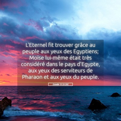 Picture 05 - Exode 11:3 LSG - L'Eternel fit trouver grâce au peuple aux yeux - Bible Verse Picture