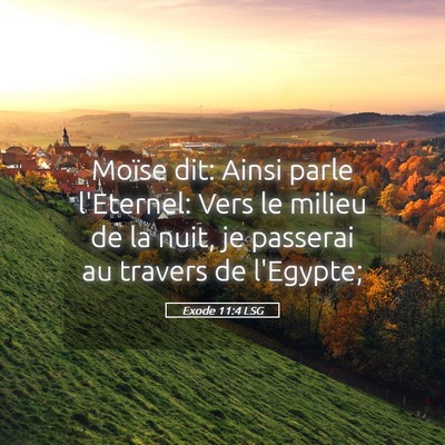 Picture 05 - Exode 11:4 LSG - Moïse dit: Ainsi parle l'Eternel: Vers le milieu - Bible Verse Picture