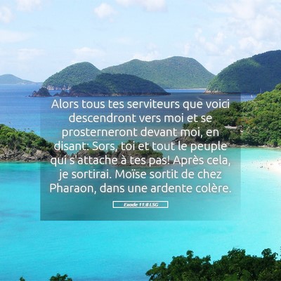 Picture 05 - Exode 11:8 LSG - Alors tous tes serviteurs que voici descendront - Bible Verse Picture