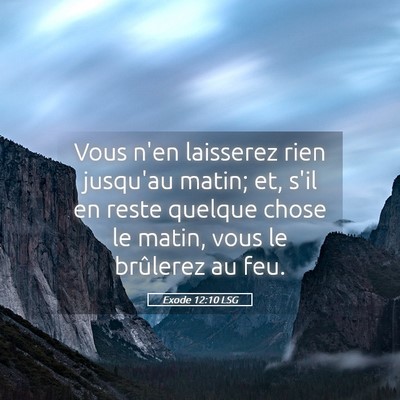 Picture 05 - Exode 12:10 LSG - Vous n'en laisserez rien jusqu'au matin; et, s'il - Bible Verse Picture