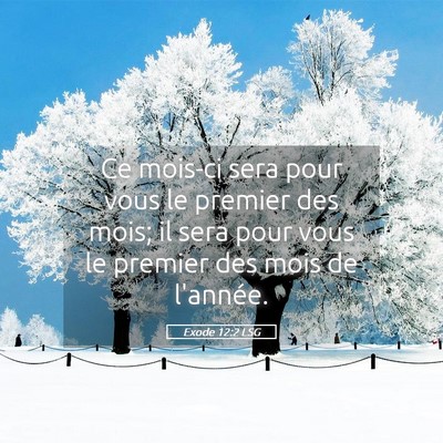 Picture 05 - Exode 12:2 LSG - Ce mois-ci sera pour vous le premier des mois; il - Bible Verse Picture