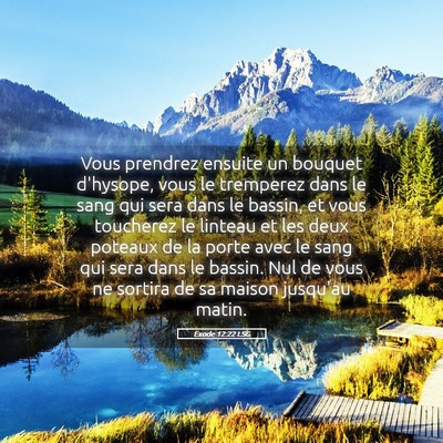 Picture 05 - Exode 12:22 LSG - Vous prendrez ensuite un bouquet d'hysope, vous - Bible Verse Picture