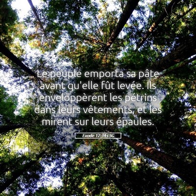 Picture 05 - Exode 12:34 LSG - Le peuple emporta sa pâte avant qu'elle fût - Bible Verse Picture
