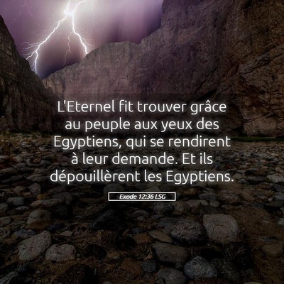 Picture 05 - Exode 12:36 LSG - L'Eternel fit trouver grâce au peuple aux yeux - Bible Verse Picture