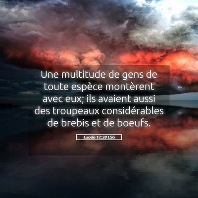 Picture 05 - Exode 12:38 LSG - Une multitude de gens de toute espèce montèrent - Bible Verse Picture