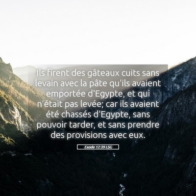 Picture 05 - Exode 12:39 LSG - Ils firent des gâteaux cuits sans levain avec la - Bible Verse Picture