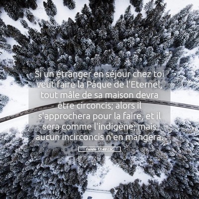 Picture 05 - Exode 12:48 LSG - Si un étranger en séjour chez toi veut faire la - Bible Verse Picture