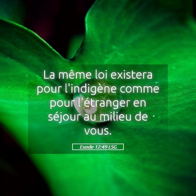 Picture 05 - Exode 12:49 LSG - La même loi existera pour l'indigène comme pour - Bible Verse Picture