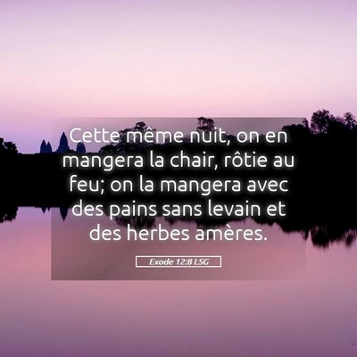 Picture 05 - Exode 12:8 LSG - Cette même nuit, on en mangera la chair, rôtie - Bible Verse Picture