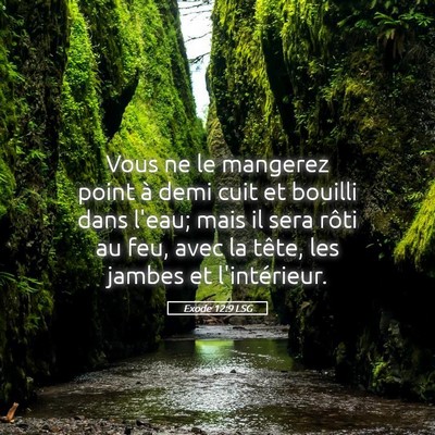 Picture 05 - Exode 12:9 LSG - Vous ne le mangerez point à demi cuit et bouilli - Bible Verse Picture