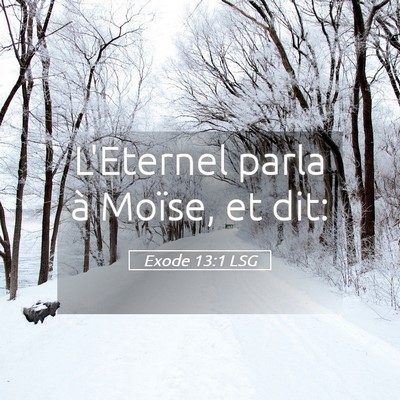 Picture 05 - Exode 13:1 LSG - L'Eternel parla à Moïse, et - Bible Verse Picture