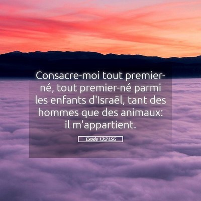 Picture 05 - Exode 13:2 LSG - Consacre-moi tout premier-né, tout premier-né - Bible Verse Picture