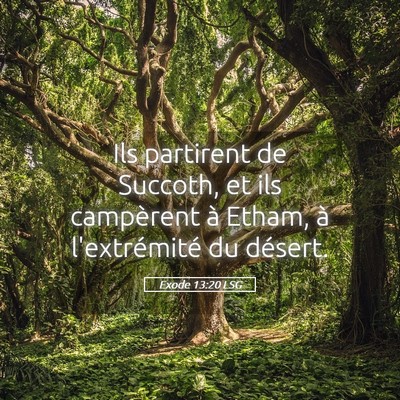 Picture 05 - Exode 13:20 LSG - Ils partirent de Succoth, et ils campèrent à - Bible Verse Picture