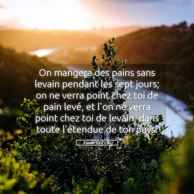 Picture 05 - Exode 13:7 LSG - On mangera des pains sans levain pendant les sept - Bible Verse Picture