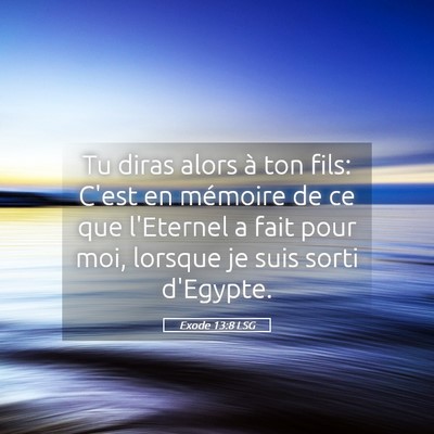 Picture 05 - Exode 13:8 LSG - Tu diras alors à ton fils: C'est en mémoire de - Bible Verse Picture