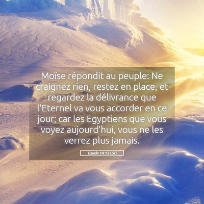 Picture 05 - Exode 14:13 LSG - Moïse répondit au peuple: Ne craignez rien, - Bible Verse Picture