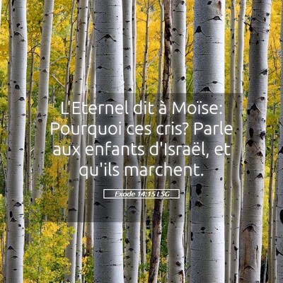 Picture 05 - Exode 14:15 LSG - L'Eternel dit à Moïse: Pourquoi ces cris? Parle - Bible Verse Picture