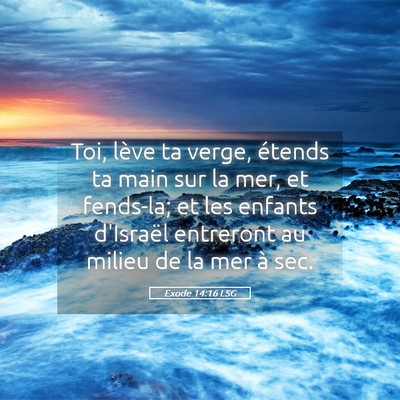 Picture 05 - Exode 14:16 LSG - Toi, lève ta verge, étends ta main sur la mer, - Bible Verse Picture