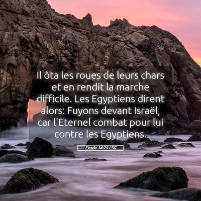 Picture 05 - Exode 14:25 LSG - Il ôta les roues de leurs chars et en rendit la - Bible Verse Picture
