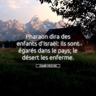 Picture 05 - Exode 14:3 LSG - Pharaon dira des enfants d'Israël: Ils sont - Bible Verse Picture
