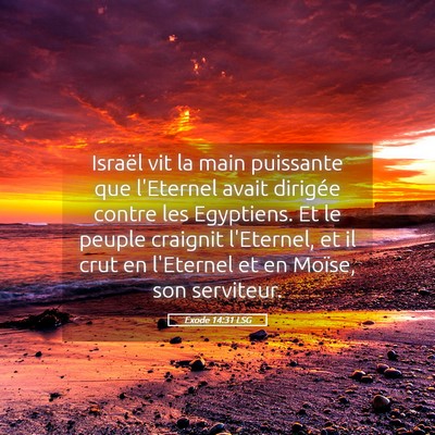 Picture 05 - Exode 14:31 LSG - Israël vit la main puissante que l'Eternel avait - Bible Verse Picture