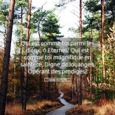 Picture 05 - Exode 15:11 LSG - Qui est comme toi parmi les dieux, ô Eternel? - Bible Verse Picture