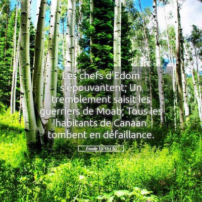 Picture 05 - Exode 15:15 LSG - Les chefs d'Edom s'épouvantent; Un tremblement - Bible Verse Picture
