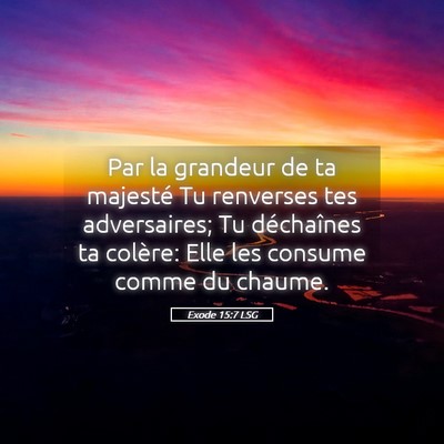 Picture 05 - Exode 15:7 LSG - Par la grandeur de ta majesté Tu renverses tes - Bible Verse Picture