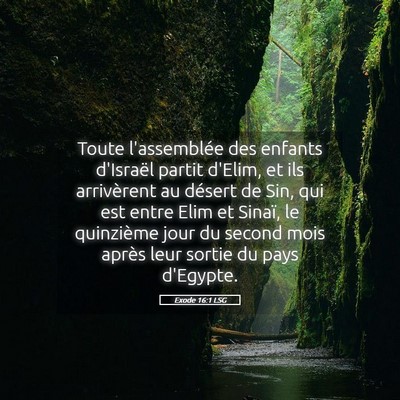 Picture 05 - Exode 16:1 LSG - Toute l'assemblée des enfants d'Israël partit - Bible Verse Picture