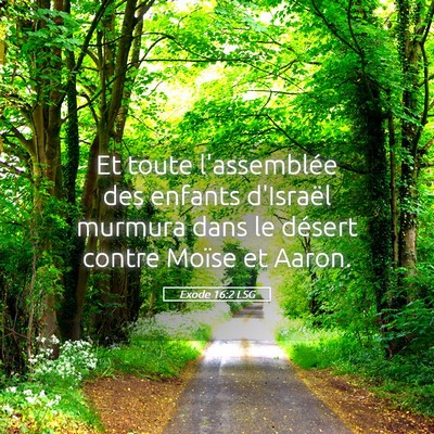 Picture 05 - Exode 16:2 LSG - Et toute l'assemblée des enfants d'Israël - Bible Verse Picture