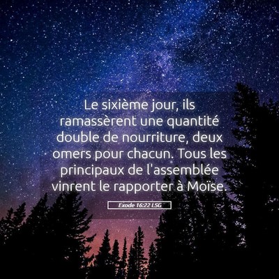 Picture 05 - Exode 16:22 LSG - Le sixième jour, ils ramassèrent une quantité - Bible Verse Picture