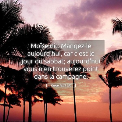 Picture 05 - Exode 16:25 LSG - Moïse dit: Mangez-le aujourd'hui, car c'est le - Bible Verse Picture