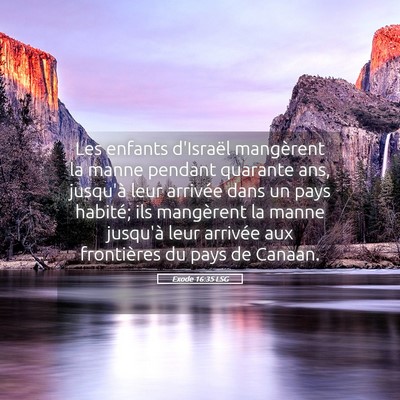 Picture 05 - Exode 16:35 LSG - Les enfants d'Israël mangèrent la manne pendant - Bible Verse Picture