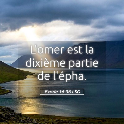Picture 05 - Exode 16:36 LSG - L'omer est la dixième partie de - Bible Verse Picture