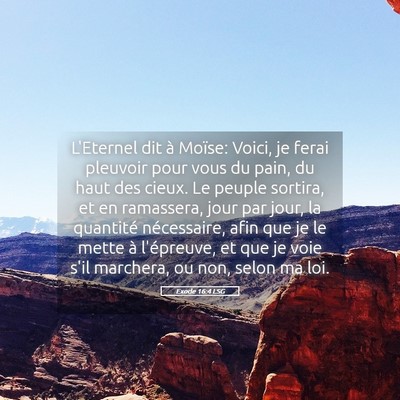 Picture 05 - Exode 16:4 LSG - L'Eternel dit à Moïse: Voici, je ferai pleuvoir - Bible Verse Picture