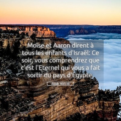 Picture 05 - Exode 16:6 LSG - Moïse et Aaron dirent à tous les enfants - Bible Verse Picture