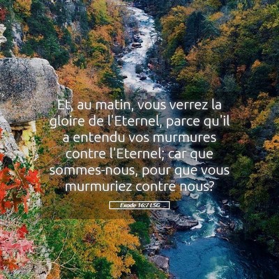 Picture 05 - Exode 16:7 LSG - Et, au matin, vous verrez la gloire de l'Eternel, - Bible Verse Picture
